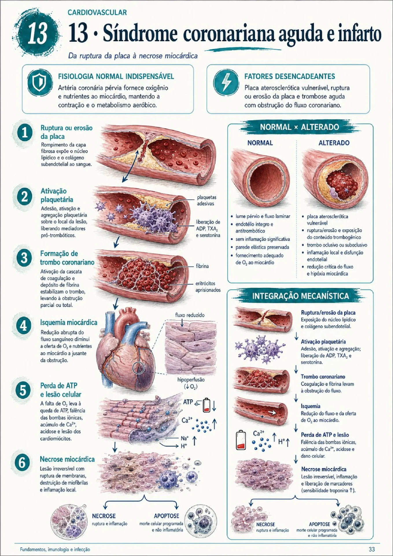 Página de exemplo do mapa de Infarto agudo do miocárdio